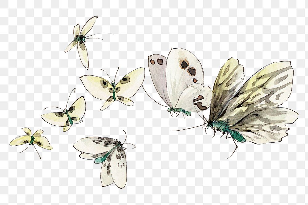 Hokusai&rsquo;s Butterflies and Moths png on transparent background. Remastered by rawpixel. 