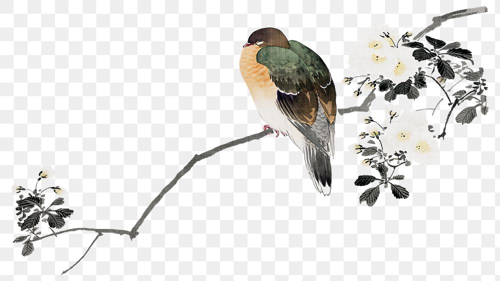 Japanese bird png on transparent background.    Remastered by rawpixel. 