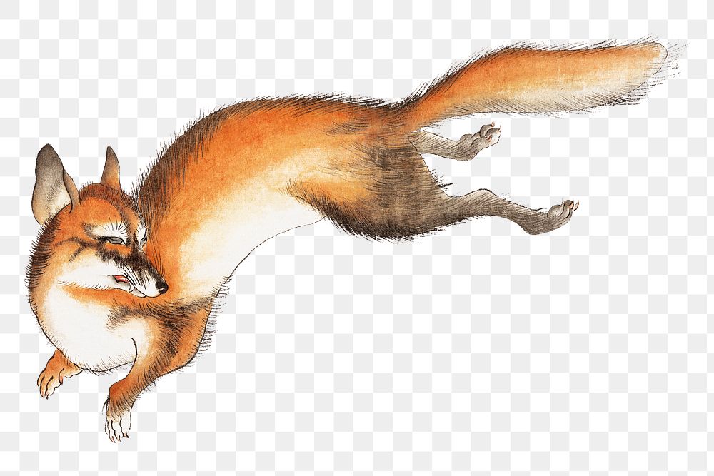 Japanese fox png on transparent background.    Remastered by rawpixel. 