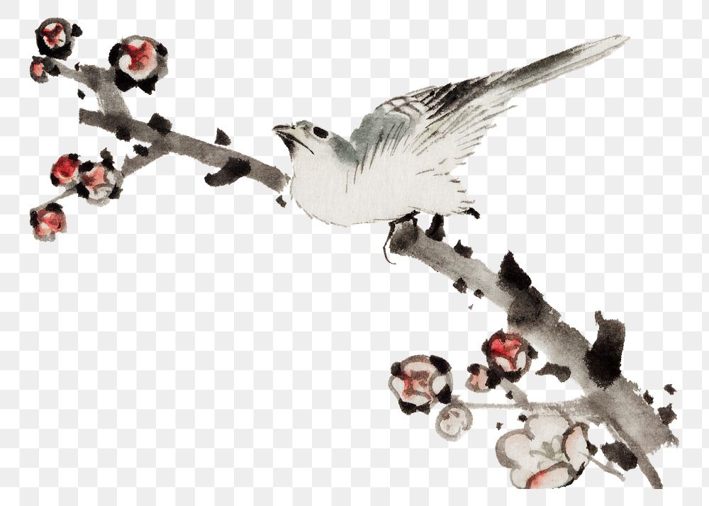 Hokusai&rsquo;s bird on branch png on transparent background.    Remastered by rawpixel. 