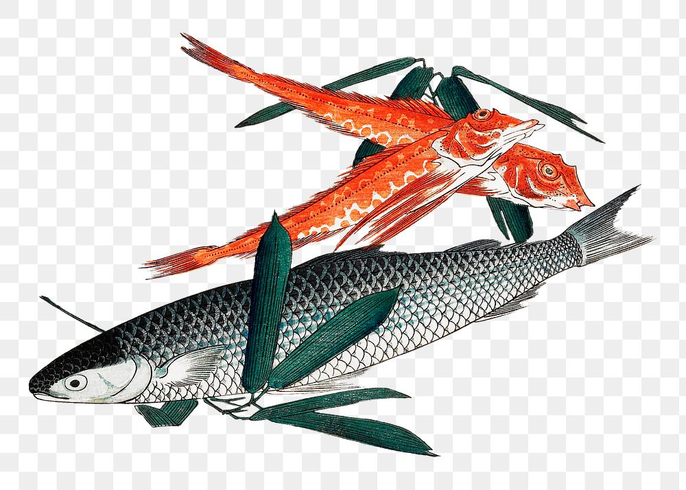 Hiroshige's Cod and Gurnard png sticker, transparent background.    Remastered by rawpixel. 