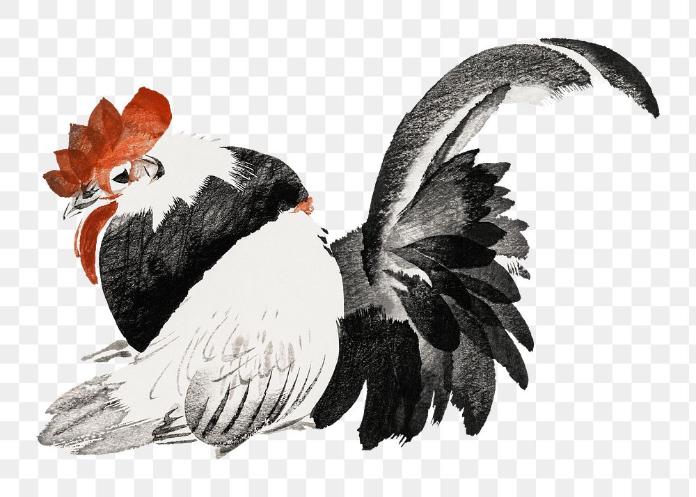 Vintage rooster png on transparent background.   Remastered by rawpixel. 