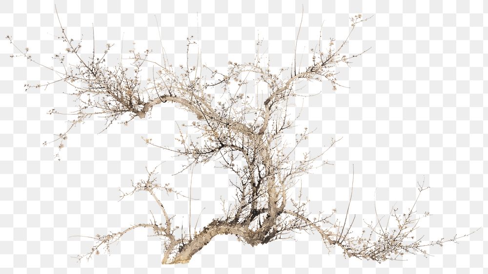 Vintage tree png on transparent background.    Remastered by rawpixel. 