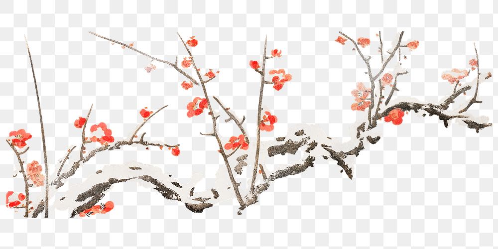 Vintage plum blossom png on transparent background.    Remastered by rawpixel. 