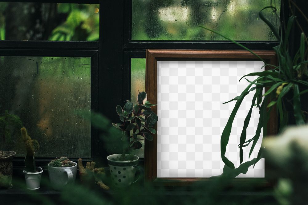 Picture frame png mockup, houseplant decor, transparent design