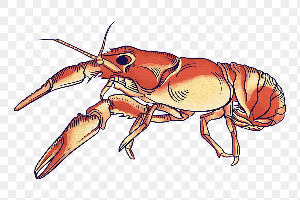 Vintage crayfish png sticker, sea animal illustration, transparent background