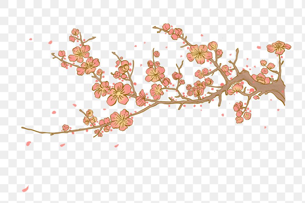 Aesthetic cherry blossom png Japanese ukiyo-e remixed sticker, transparent background