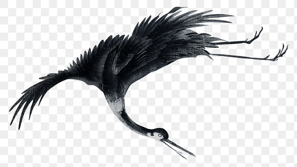 Black Japanese crane png, vintage bird illustration, transparent background