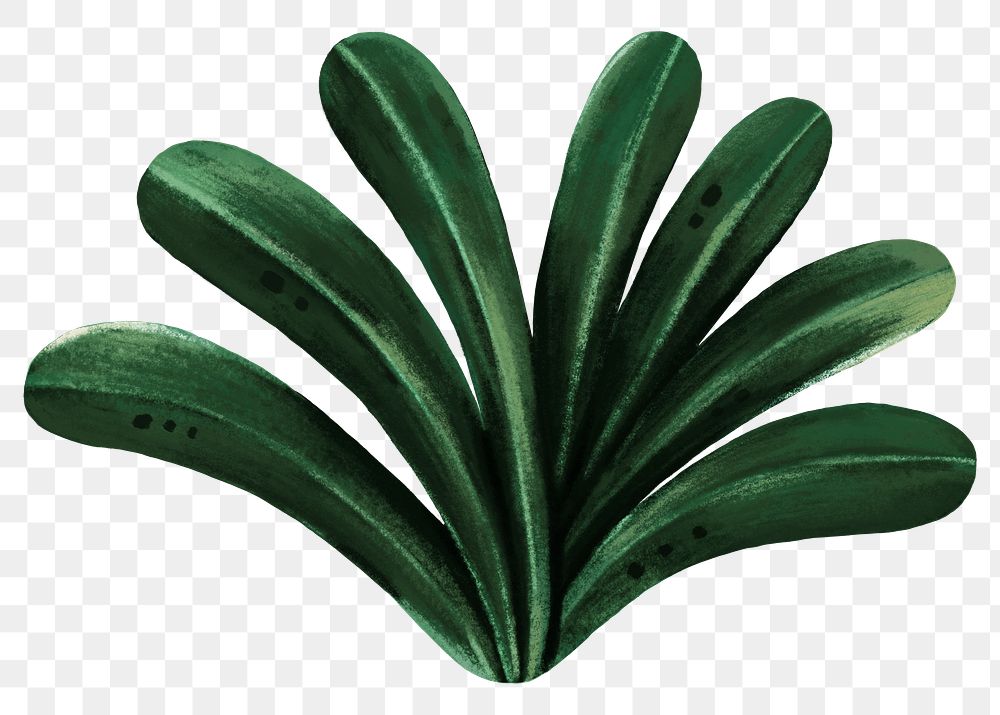 Tropical leaves png sticker, botanical illustration, transparent background