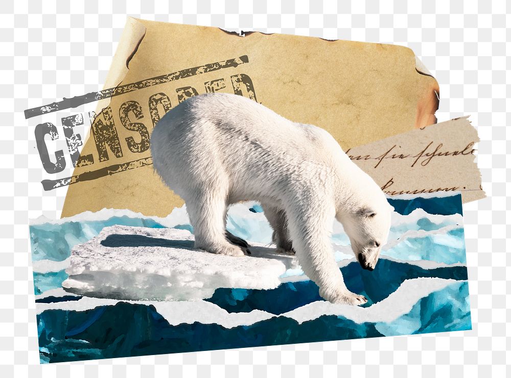 Polar bear png ephemera sticker, transparent background