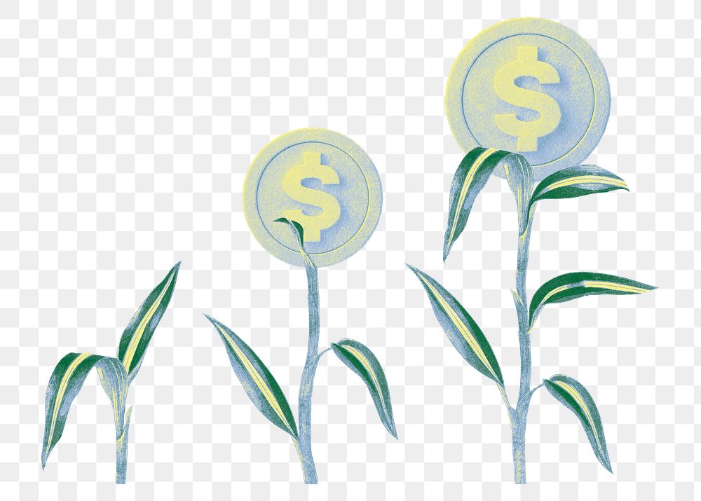 Growing money plant png sticker, transparent background