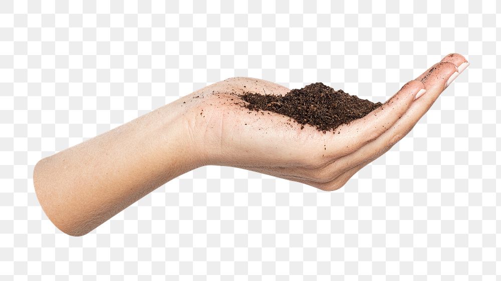 Png soil in hand sticker, transparent background