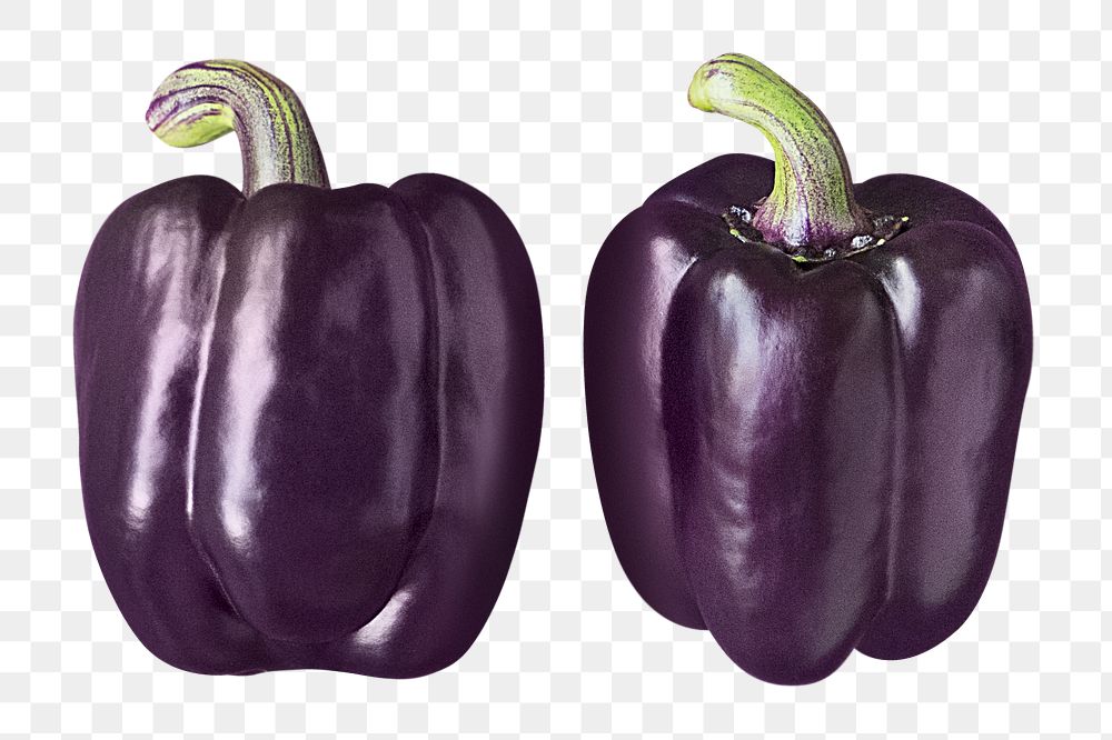 Purple bell peppers png sticker, transparent background