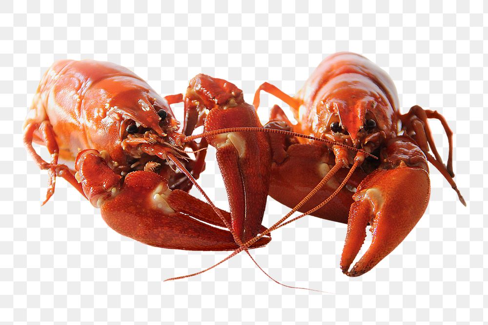 Lobster png seafood sticker, transparent background