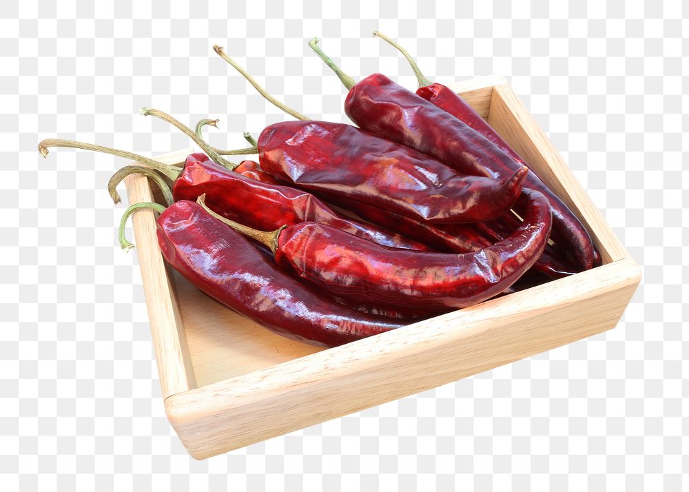 Red chili png sticker, transparent background