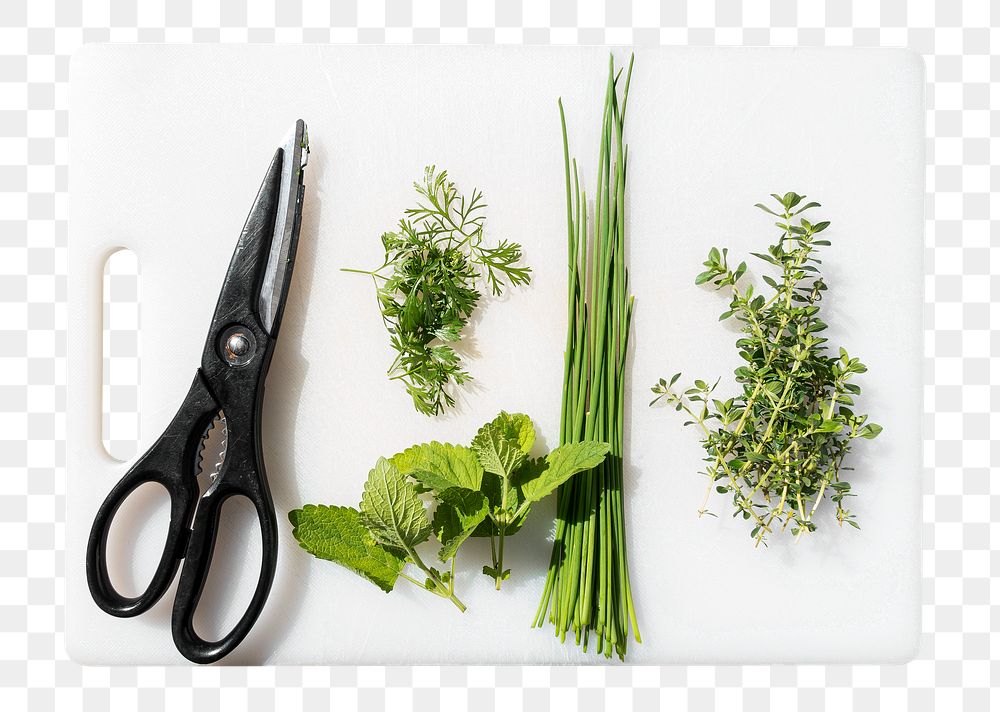 Cooking herbs png sticker, transparent background