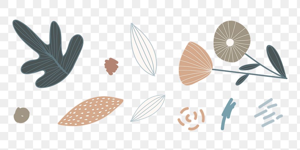 Aesthetic Autumn flowers png sticker, transparent background