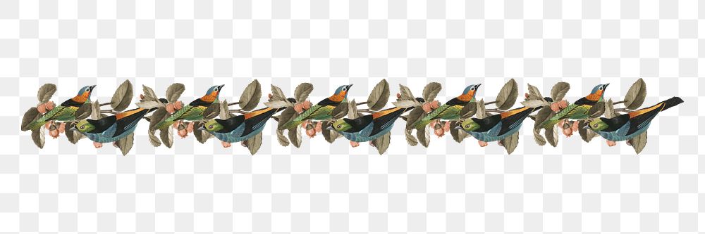 Exotic birds divider png sticker, vintage animal pattern border, transparent background