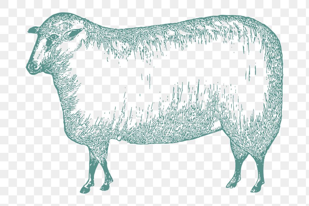 Vintage sheep png drawing sticker, transparent background