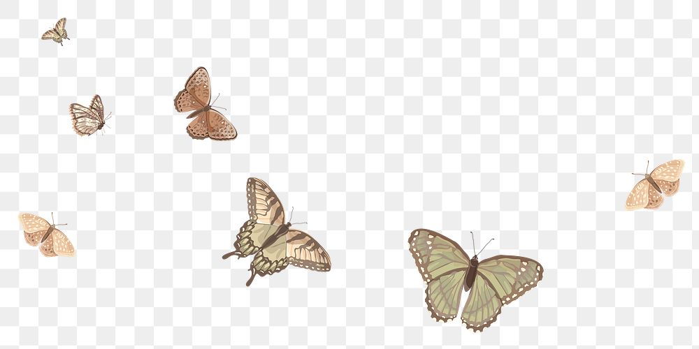 Butterflies border png sticker illustration, transparent background