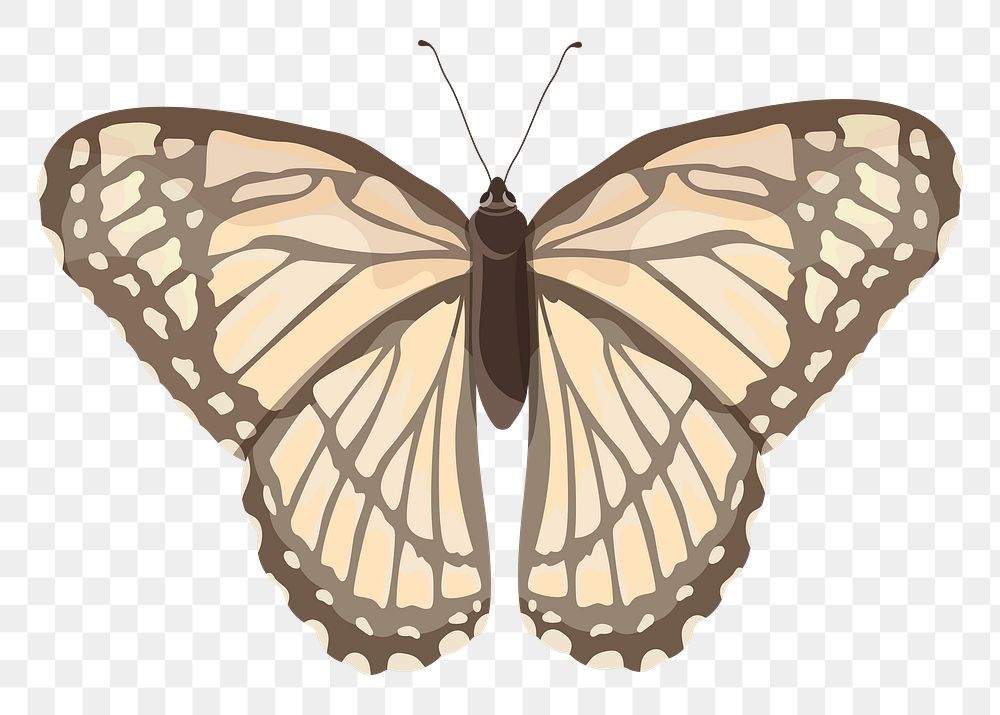 Beige butterfly png illustration sticker, transparent background