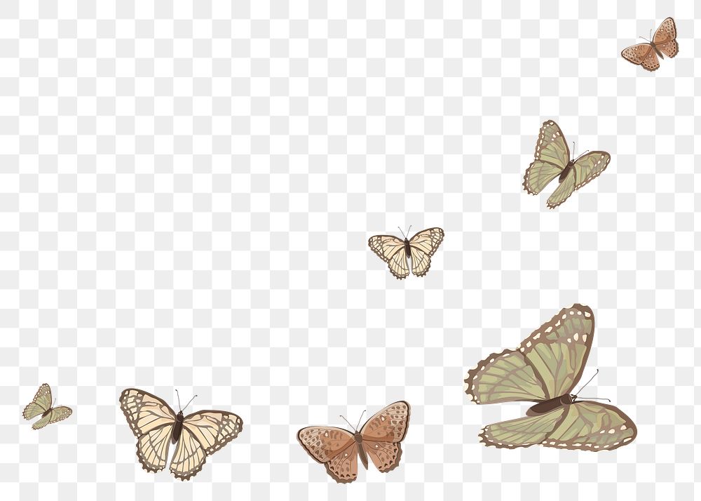 Butterfly border png sticker illustration, transparent background