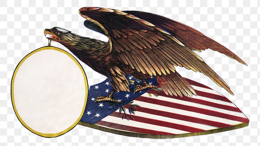 Aesthetic eagle png on transparent background.   Remastered by rawpixel