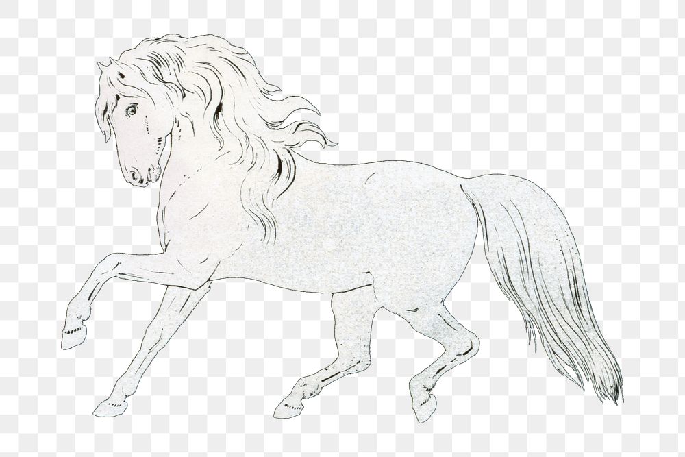 Aesthetic white horse  png on transparent background.   Remastered by rawpixel