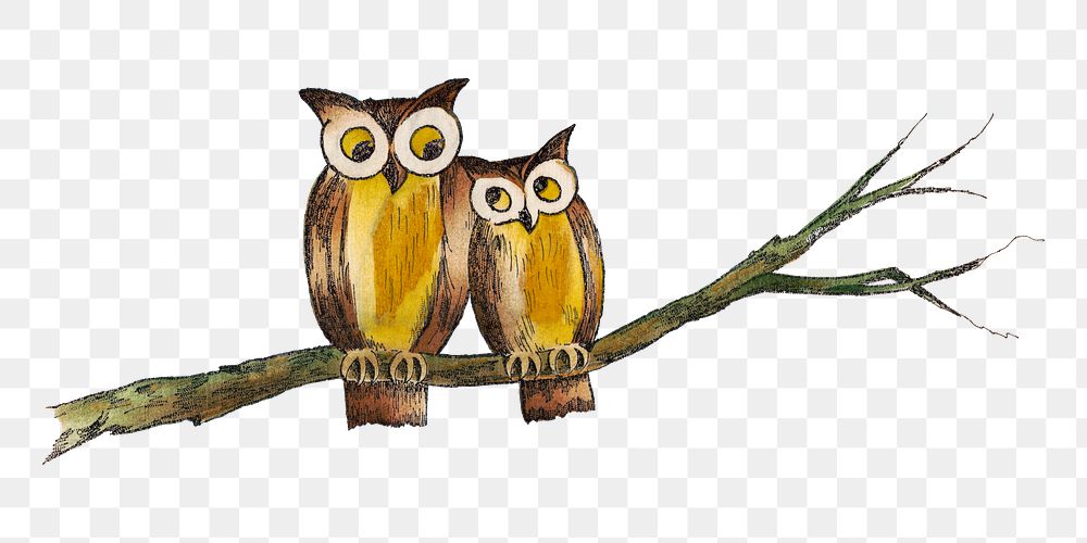 Aesthetic owls  png on transparent background.   Remastered by rawpixel