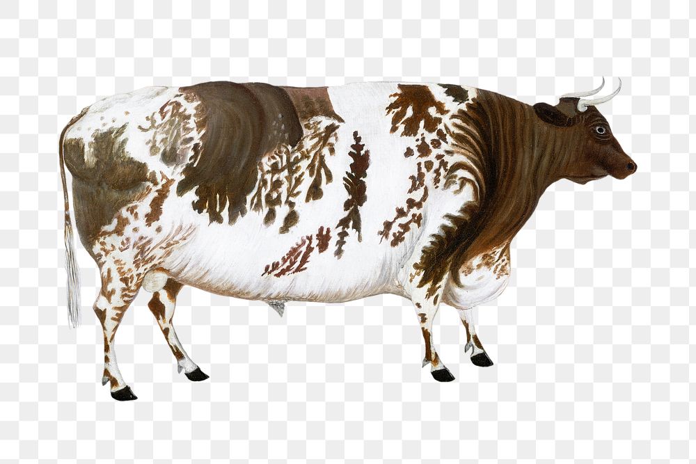 Aesthetic bull png on transparent background.  Remastered by rawpixel