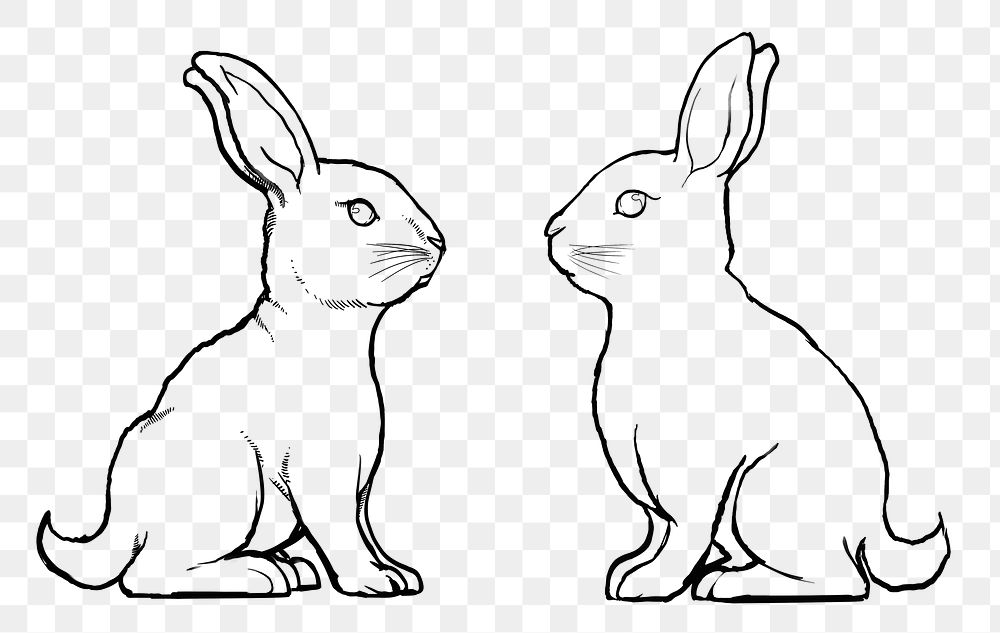 Rabbits png sticker, Easter celebration animal in line art design, transparent background