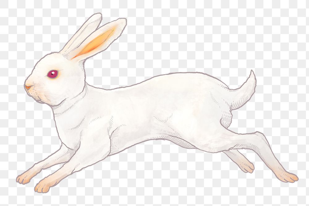 Jumping white rabbit png sticker, Chinese zodiac animal illustration, transparent background