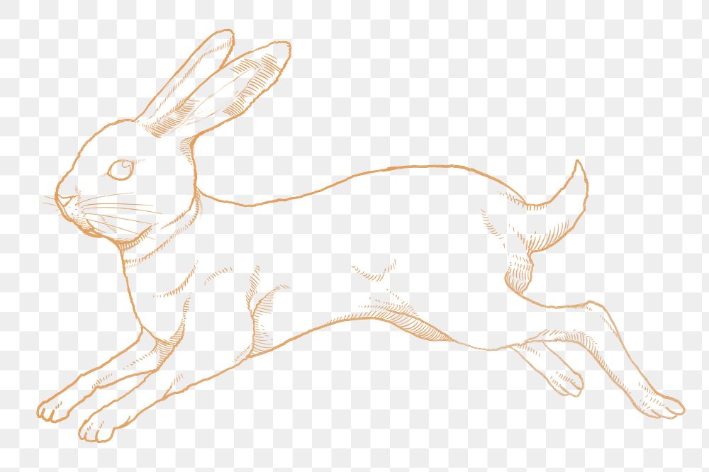 Jumping gold rabbit png sticker, Chinese zodiac animal, line art illustration, transparent background