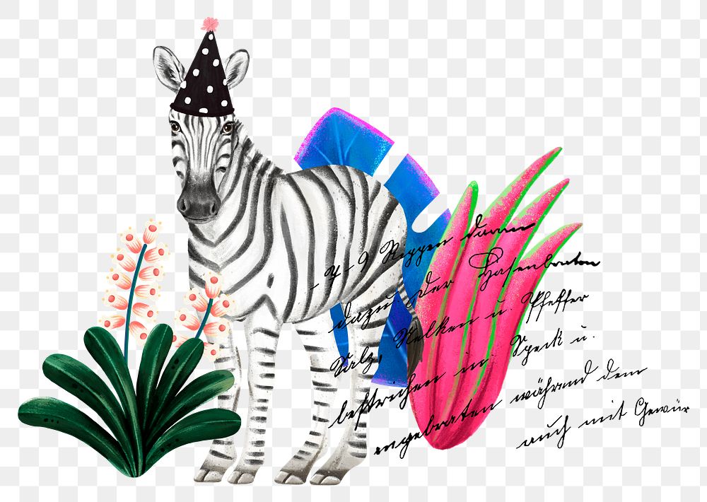 Zebra wildlife png sticker, cute animal illustration, transparent background