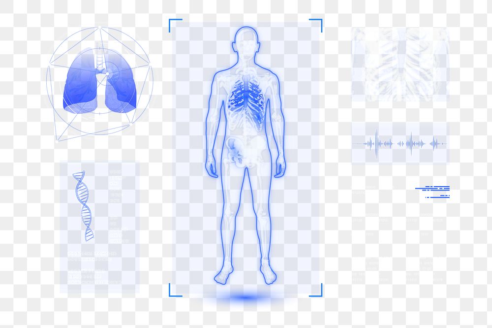 Human body scan png, medical technology, transparent background