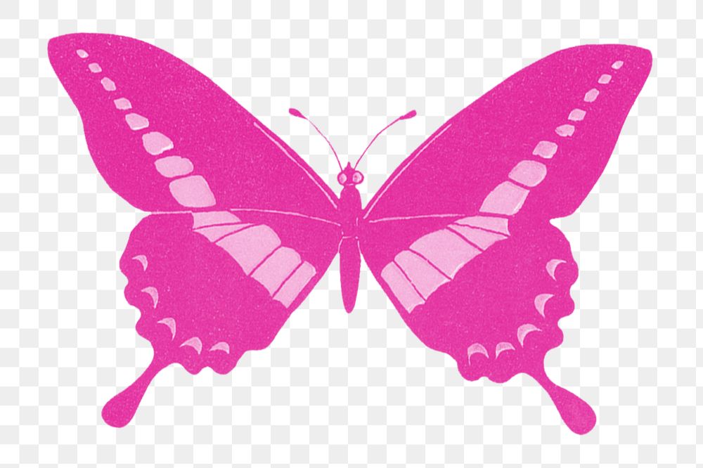 Pink butterfly png animal sticker, transparent background, remixed by rawpixel