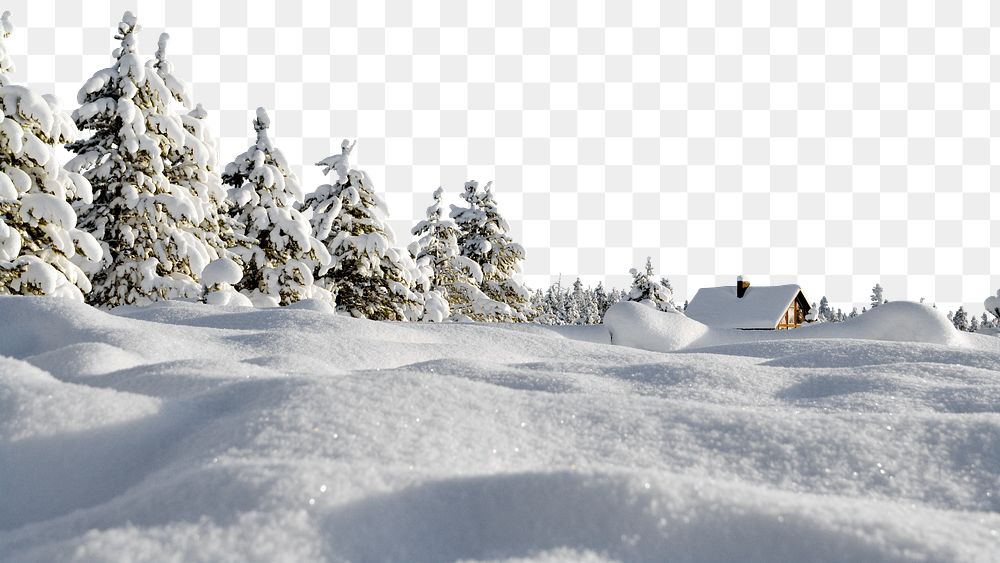 Snowy land png border, pine forest image, transparent background