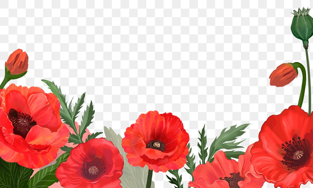 Red poppy png border, transparent background