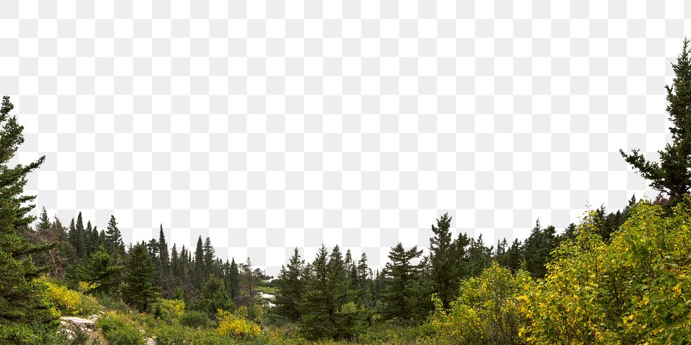 Pine forest png border, nature aesthetic image, transparent background