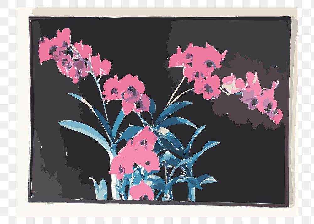 Flower png sticker, transparent background. Free public domain CC0 image.