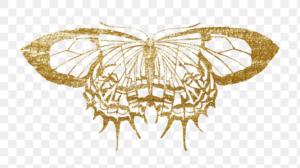 Gold butterfly png sticker, glittery aesthetic design, transparent background. Remixed from the artwork of E.A. Séguy.