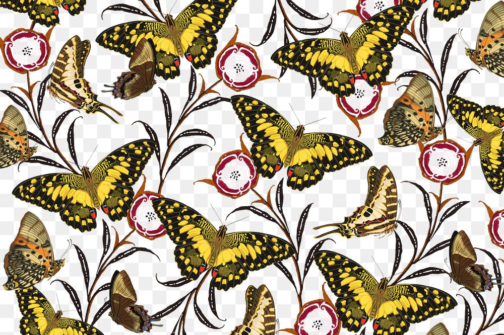 Vintage butterfly png botanical pattern, transparent background, remixed from the artwork of E.A. S&eacute;guy