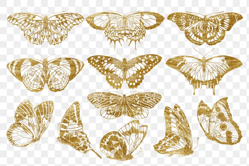 Gold glittery butterfly png sticker, aesthetic insect set, transparent background. Remixed from the artwork of E.A.…