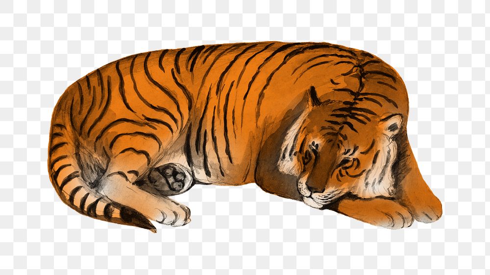 Sleeping tiger png wild animal sticker, transparent background. Remixed by rawpixel.