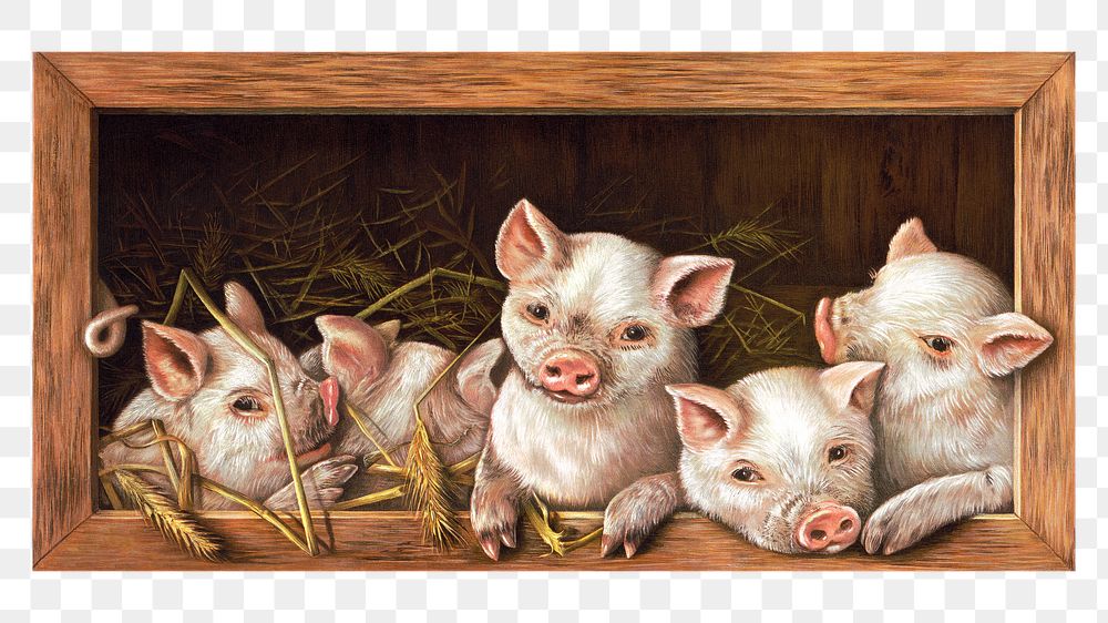 The prize piggies png sticker, farm animal on transparent background.   Remastered by rawpixel