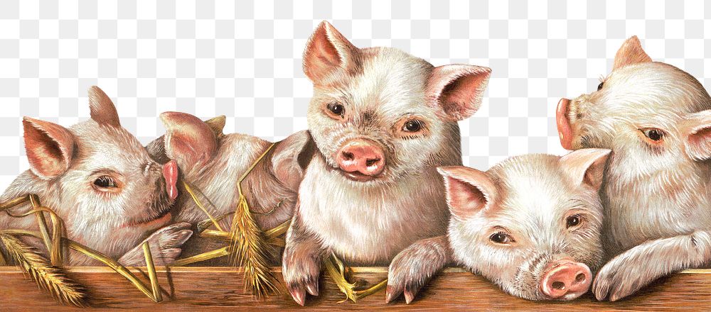The prize piggies png sticker, farm animal on transparent background.   Remastered by rawpixel
