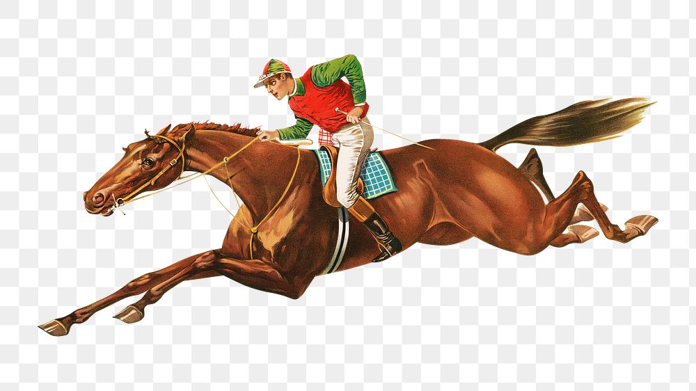 Vintage horse rider png sticker, sports on transparent background.  Remastered by rawpixel