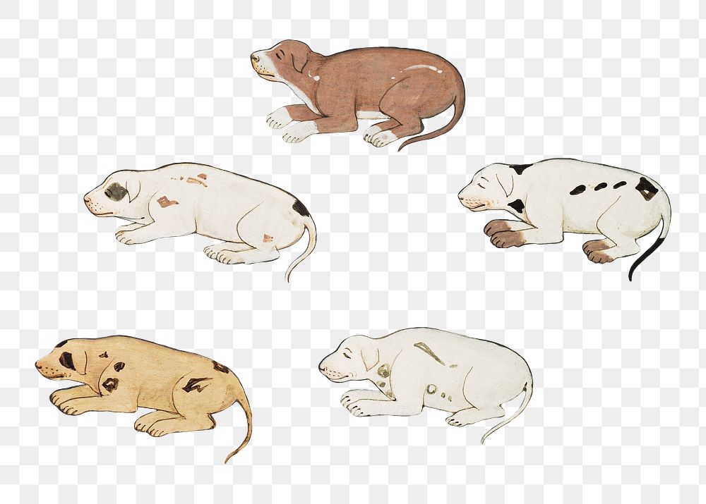 Vintage puppies png sticker, animal on transparent background.   Remastered by rawpixel