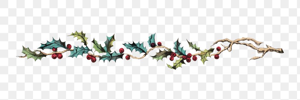 Vintage holly berry png ornament divider on transparent background.   Remastered by rawpixel