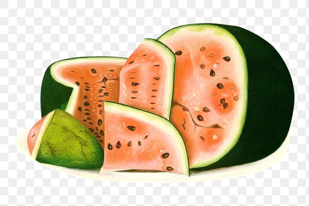 Watermelon png sticker, tropical fruit  on transparent background.    Remastered by rawpixel